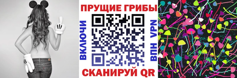 Галлюциногенные грибы ЛСД  блэк спрут зеркало  Печора 