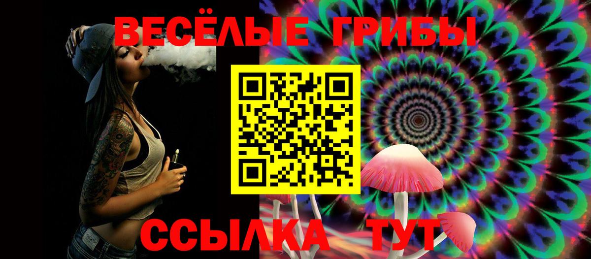 Печора  Псилоцибиновые грибы мицелий  Вход с VPN 